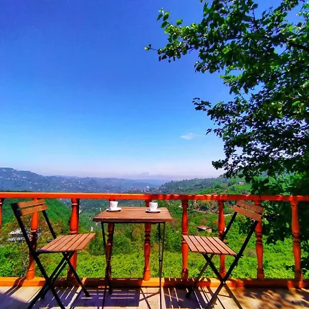 Kamp alanı Ağaç Ev Bungalov Trabzon