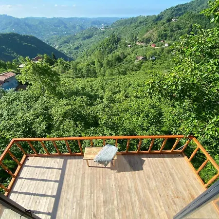 Ağaç Ev Bungalov Kamp alanı Trabzon